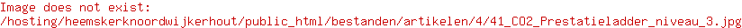 DEKRA Prestatieladder 3